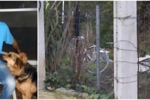 Πιερία: Τι λέει ο πατέρας του 58χρονου για τη δολοφόνο - "Είναι πρεζόνι, όπως και ο γιος μου - Σίγουρα είχε συνεργό" [βίντεο]