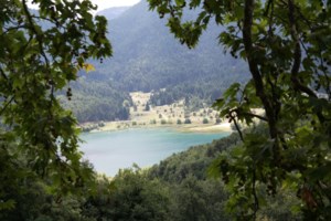 Η Κάτια Ζυγούλη πήγε για ψυχοθεραπεία - Η επαφή της με τα άλογα-θεραπευτές [Βίντεο]