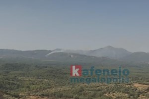 Φωτιά στην περιοχή Σοφό Ασπροπύργου: Στη "μάχη" και εναέρια μέσα
