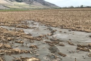 Σεισμός στην Ελασσόνα - Απίστευτες εικόνες: Δρόμος κόπηκε στα δύο - Άνοιξε "κρατήρας" σε αγρό - εικόνα 2