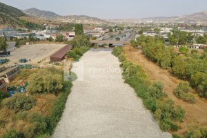 Νεκροταφείο ψαριών ο Παγασητικός: Απομακρύνθηκαν πάνω από 160 τόνοι - Προειδοποίηση μέχρι και για... καρχαρίες - εικόνα 3