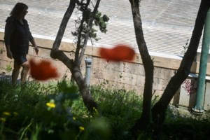 Καιρός: Συννεφιασμένη Παρασκευή με τοπικές βροχές και μποφόρ - Πώς θα κυλήσει το τριήμερο της Πρωτομαγιάς