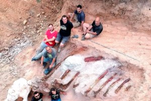 Ανακάλυψη: To πρώτο χειρουργείο έγινε πριν 30.000 χρόνια στην Ινδονησία και ο ασθενής επέζησε - εικόνα 5