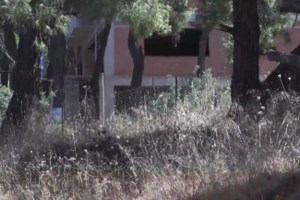 Καθαρισμός οικοπέδων: Τι πρέπει να κάνουν οι πολίτες με τις δηλώσεις - Τα πρόστιμα και η προθεσμία