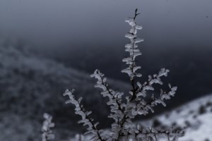 Καιρός: Νέα επιδείνωση με ισχυρές καταιγίδες από την Κυριακή - Πού θα είναι πιο έντονα τα φαινόμενα - εικόνα 2