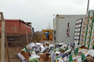 Αφίδνες: Τσάκωσαν 26χρονο στα διόδια με 30 κιλά κάνναβη στο αυτοκίνητο