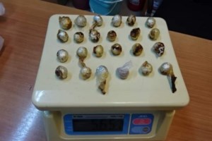 Λήξη συναγερμού στο Μετρό: Άνοιξε ο σταθμός "ΑΙΓΑΛΕΩ" - Προηγήθηκε τηλεφώνημα για βόμβα