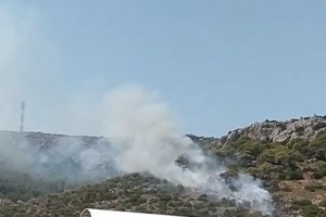 Φωτιά στην Πεντέλη: Συγκλονίζει ο Σταύρος Νικολαΐδης -  "Δεν τολμάω να φέρω το παιδί μου να δει τι έγινε" [βίντεο]