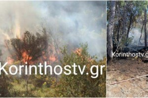 Ναύπλιο: Φωτιά σε δασική έκταση στην Προσύμνη Αργολίδας - Επιχειρούν επίγειες και εναέριες δυνάμεις της Πυροσβεστικής