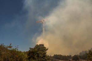 Βορίδης: Η ΕΥΠ έχει επιληφθεί για τη φωτιά στη Ρόδο - Δεν αποκλείεται οργανωμένο σχέδιο εμπρησμού