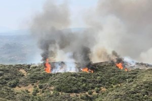 Πατούλης για τις φωτιές: "Εργαζόμαστε αθόρυβα σε αντίθεση με αυτούς που κάνουν φθηνή αντιπολίτευση πάνω στις στάχτες" - εικόνα 2