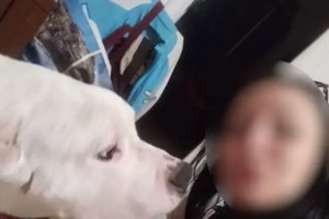 Νεκρή έγκυος στον Κολωνό: "Της φώναζε ψόφα σαν σκυλί" - Αποκαλυπτική μαρτυρία γειτόνισσας του ζευγαριού - εικόνα 2