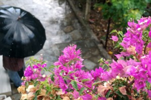 Σε "red code" Αχαΐα και Ηλεία, λόγω της επιδείνωσης του καιρού - Κίνδυνος για πλημμυρικά φαινόμενα