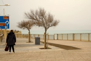 Προειδοποίηση Σάκη Αρναούτογλου για λασποβροχές - Ποιες περιοχές θα επηρεαστούν