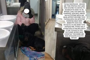 Viral: Καταπληκτικό κοριτσάκι καλύπτει τα αυτιά σκύλου για να μην φοβάται τις κροτίδες [Βίντεο]