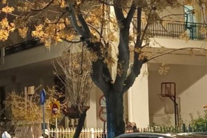 Αγρια δολοφονία στο Μαρούσι: Με σοβαρά ψυχολογικά η 17χρονη που σκότωσε την 23χρονη σύντροφό της