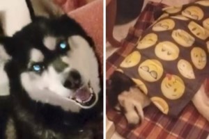 Αράχωβα: Οργισμένη η Μάρθα Πουλτίδου για τον Ολιβερ - "Βλέπουμε ότι μας κορόιδευαν μέσα στα μούτρα μας"