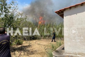 Δύο εστίες φωτιάς σε Σαρακίνα και Σπιάντζα στην Ηλεία: Η στιγμή που οι φλόγες τυλίγουν πυροσβεστικό όχημα  [Εικόνες, Βίντεο]