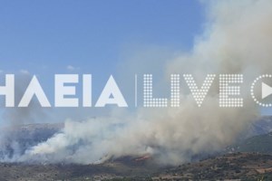 Πύρινη κόλαση στην Ανατολική Μάνη: Εκκενώθηκαν 5 οικισμοί - Τρία πλέον τα μέτωπα - Ενισχύονται οι δυνάμεις [Βίντεο]