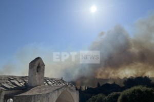 Μάχη με πύρινα μέτωπα σε Εύβοια, Κύθηρα, Μεσσηνία: Κάηκαν σπίτια, πυροσβεστικά - Μπαράζ  112 - Φωτιά και στην Αττική - εικόνα 3