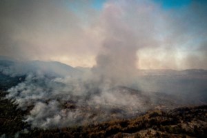 Φωτιά στη Ρόδο: Καυτός αέρας σηκώνει κάφτρες που δημιουργούν νέες εστίες - Έκκληση για βοήθεια στον Προφήτη Ηλία - εικόνα 4