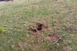 Παρ' ολίγο τραγωδία: Πόρτα σχολείου έπεσε και καταπλάκωσε 6χρονο παιδάκι στον Άγιο Στέφανο  [ΒΙΝΤΕΟ]