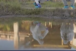 Άκης Αξιώτης - Αφαντος ο "γιος" του μουσικοσυνθέτη Γ. Μανισαλή: "Τον έχασα ανήμερα του Ευαγγελισμού" - εικόνα 2