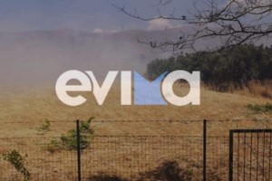 Φωτιά στην Παιανία: Κινητοποιήθηκαν επίγεια και εναέρια μέσα της Πυροσβεστικής