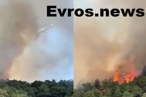 Έβρος: Μάχη για να σωθεί το δάσος της Δαδιάς - Aνοίγει ζώνες ο στρατός για να μην περάσει η φωτιά [εικόνες-βίντεο] - εικόνα 5