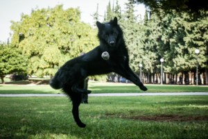 Ελληνικό χειροποίητο επιτραπέζιο παιχνίδι το Νο1 τουριστικό προϊόν της Μάλτας - εικόνα 4