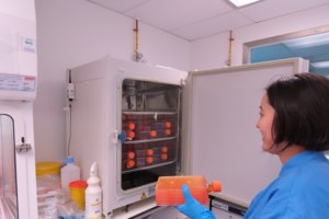 Η Κίνα "τρέχει" για τη θεραπεία: Πέντε πειραματικά εμβόλια δοκιμάζονται ήδη σε ανθρώπους