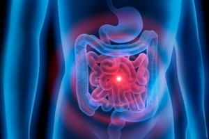 Η "άγνωστη" δίαιτα που μπορεί να μειώσει τη χοληστερίνη - Όλα όσα (δεν) ξέρουμε - εικόνα 2