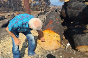 Βαρυμπόμπη: Η συγκλονιστική ιστορία 92χρονης - Αρνείται να φύγει από το καμένο σπίτι της [Βίντεο]