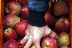 Ο κορονοϊός άλλαξε και τη διατροφή μας: Μαγειρεύουμε περισσότερο, τρώμε περισσότερες θερμίδες και ζάχαρη - εικόνα 2