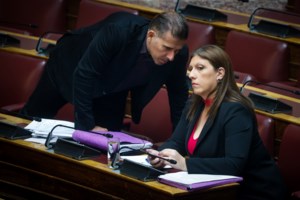 Νέα αποθέωση Διαμαντή Καραναστάση από τη Ζωή Κωνσταντοπούλου: Συγνώμη που δεν κατάφερα να σε προστατεύσω