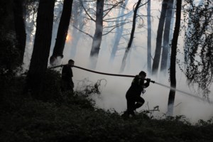 Στο πλευρό των πυρόπληκτων όλη η Ελλάδα: Οι φορείς που συγκεντρώνουν είδη πρώτης ανάγκης - Πως μπορείτε να βοηθήσετε