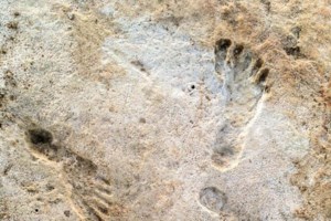 NASA: Σεισμός με διάρκεια 1,5 ώρας και 4,2 Ρίχτερ στον Άρη