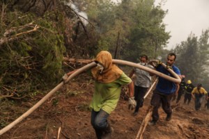 Εμπρησμοί: Τρεις νέες συλλήψεις για φωτιές σε Μαρκόπουλο, Λέσβο και Λιβαδειά - εικόνα 2