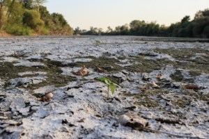 Πώς βιώνει το κλιματικό άγχος η Gen Z: Τι είναι τα οικολογικά συναισθήματα και γιατί είναι κυρίως αρνητικά