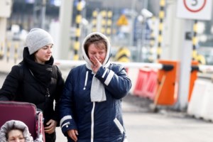 Ουκρανία: Πώς σώθηκε ο Στεπάν από τους βομβαρδισμούς στο Χάρκοβο - Η γάτα influencer του Instagram [εικόνες]