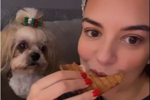 Χάσκι έσωσε τη γειτονιά του: Εντόπισε διαρροή αερίου που θα μπορούσε να προκαλέσει έκρηξη