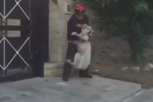 Δήμαρχος Ραφήνας: Η πυρκαγιά εξαπλώνεται σαν "χταπόδι" λόγω των ανέμων - εικόνα 2