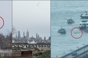 ΗΠΑ: Συντριβή μικρού αεροσκάφους στη Φλόριντα - Τρεις νεκροί [βίντεο]