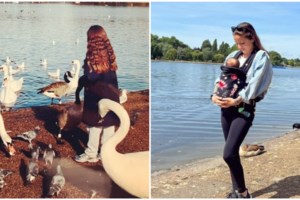 Σε εφαρμογή το 10410 για την προστασία των ζώων - Ο πενταψήφιο αριθμός για καταγγελίες κακοποίησης