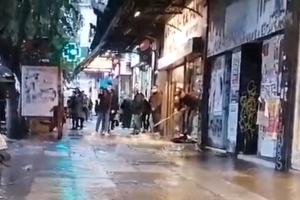 Φρίκη στη Θεσσαλονίκη: Συνέθλιψαν το κεφάλι σκύλου με τσιμεντόλιθο [Βίντεο]