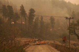 Εμπρησμοί: Τρεις νέες συλλήψεις για φωτιές σε Μαρκόπουλο, Λέσβο και Λιβαδειά