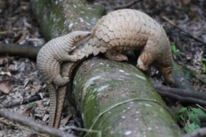 Γεραπετρίτης για πρώτη ημέρα χαλάρωσης των μέτρων: Η μέχρι τώρα εικόνα είναι ότι πηγαίνουμε καλά - εικόνα 3