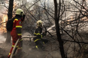 Εύβοια - Copernicus: Η μεγαλύτερη καταστροφή όλων των εποχών από μία πυρκαγιά - Εκτίμηση για 700.000 καμένα στρέμματα - εικόνα 2