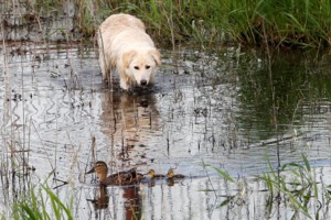 Κοροναϊός: Τι να κάνετε αν υποψιάζεστε ότι έχετε τον ιό - εικόνα 2