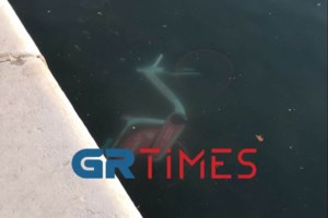 ΕΛΑΣ: Εξαρθρώθηκε συμμορία που έκλεβε ηλεκτρικά πατίνια στα νότια προάστια